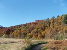 Craigellachie Bridge