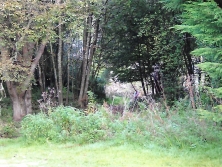 Craigellachie Bridge