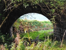 Craigellachie Bridge